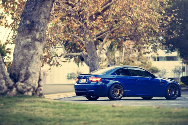 Blauer BMW auf Baumhintergrund