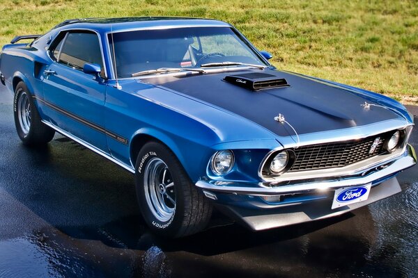 Classic blue Mustang in front of a green lawn