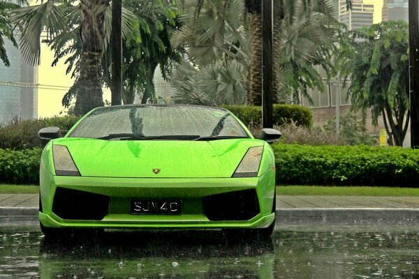 Зелёный автомобиль Lamborghini Gallardo, на фоне которого зелёные пальмы