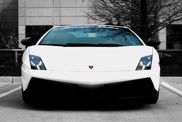 Foreground of a white lamborghini gallardo