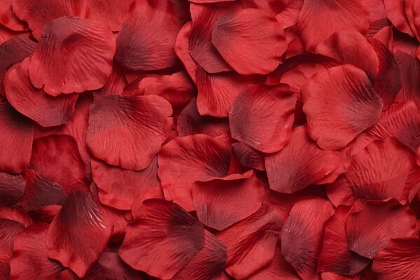 Lots of floral red petals