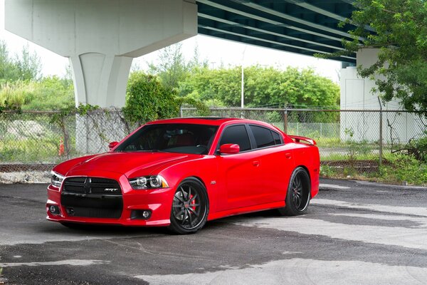 Coche rojo brillante contra el follaje verde