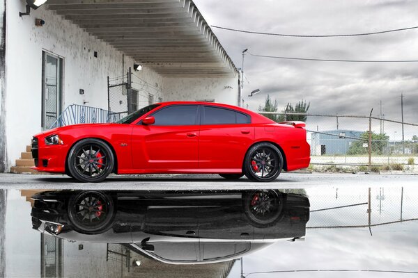 A bright red Dodge stands and is reflected in a puddle