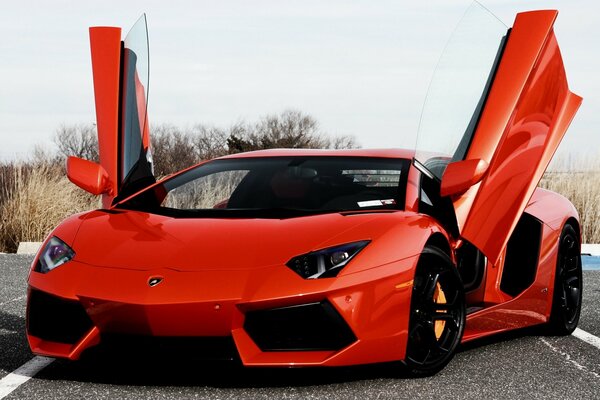 Lamborghini Aventador vista frontale con porte aperte