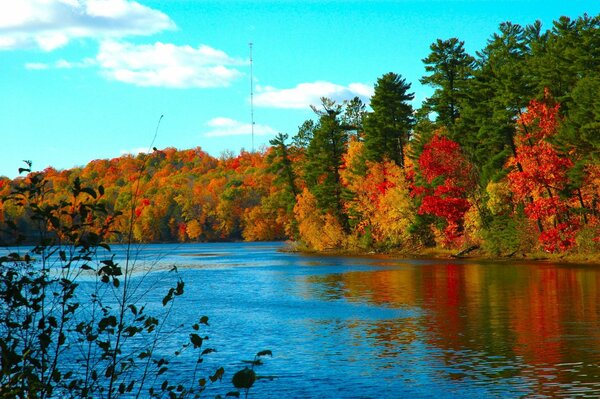 Lago en el bosque de otoño. Naturaleza