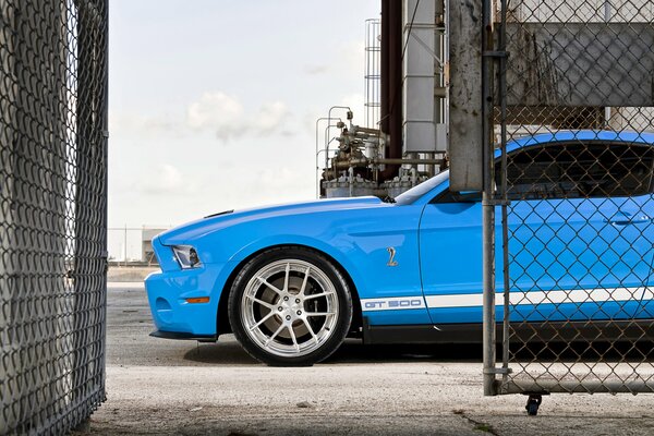 The blue Ford Mustang stopped at the fence in the grid