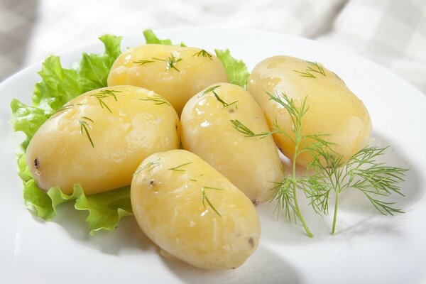 Gekochte Kartoffeln mit Dill und grünen Blättern