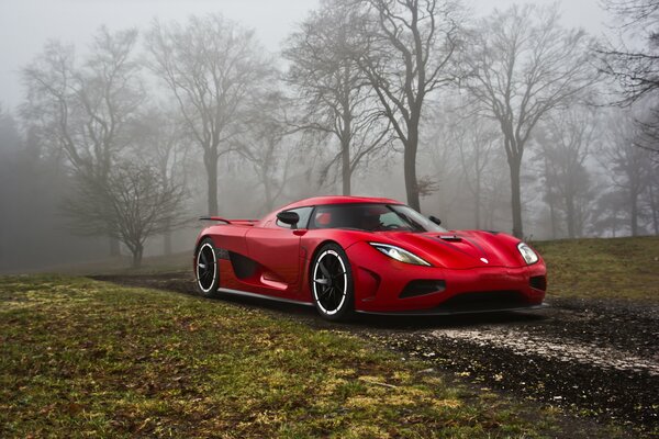 A car on a dirt road in fog