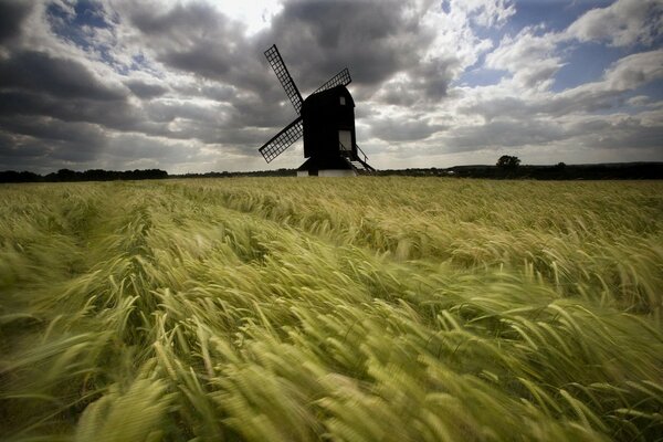 Windmühle vor dem Hintergrund der sich verbiegenden Ähren