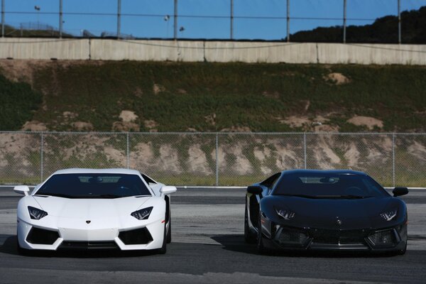 Lamborghini aventador schwarz und weiß auf der Straße