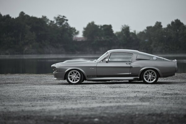 Grigio Ford Mustang GT500 Shelby in piedi su ghiaia