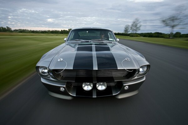 Sporty Ford Mustang legend of the roads