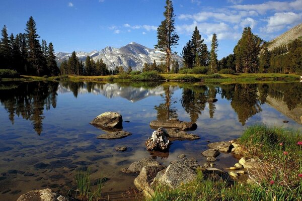 Fiume di montagna sullo sfondo della montagna mnezhnaya