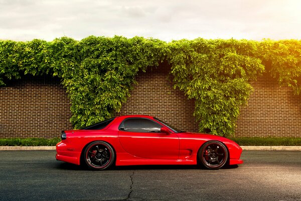 Red Mazda on the background of a brick wall with bushes