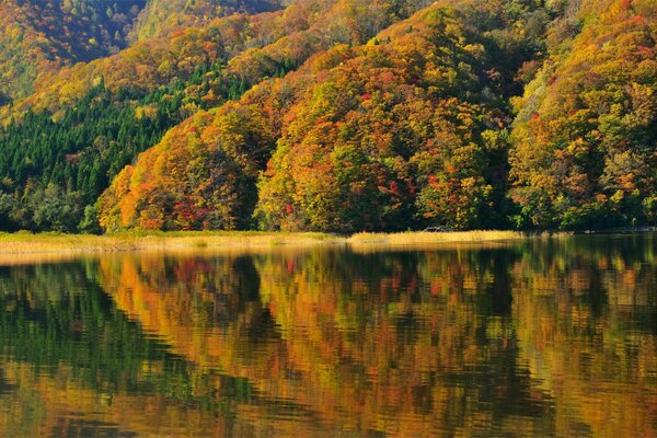 Paisaje del lago de otoño en Japón