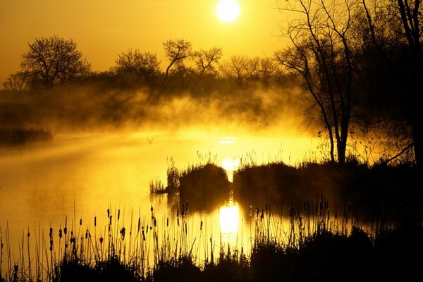 Brillante amanecer sobre el agua