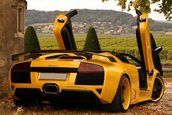 Lamborghini amarillo contra la naturaleza