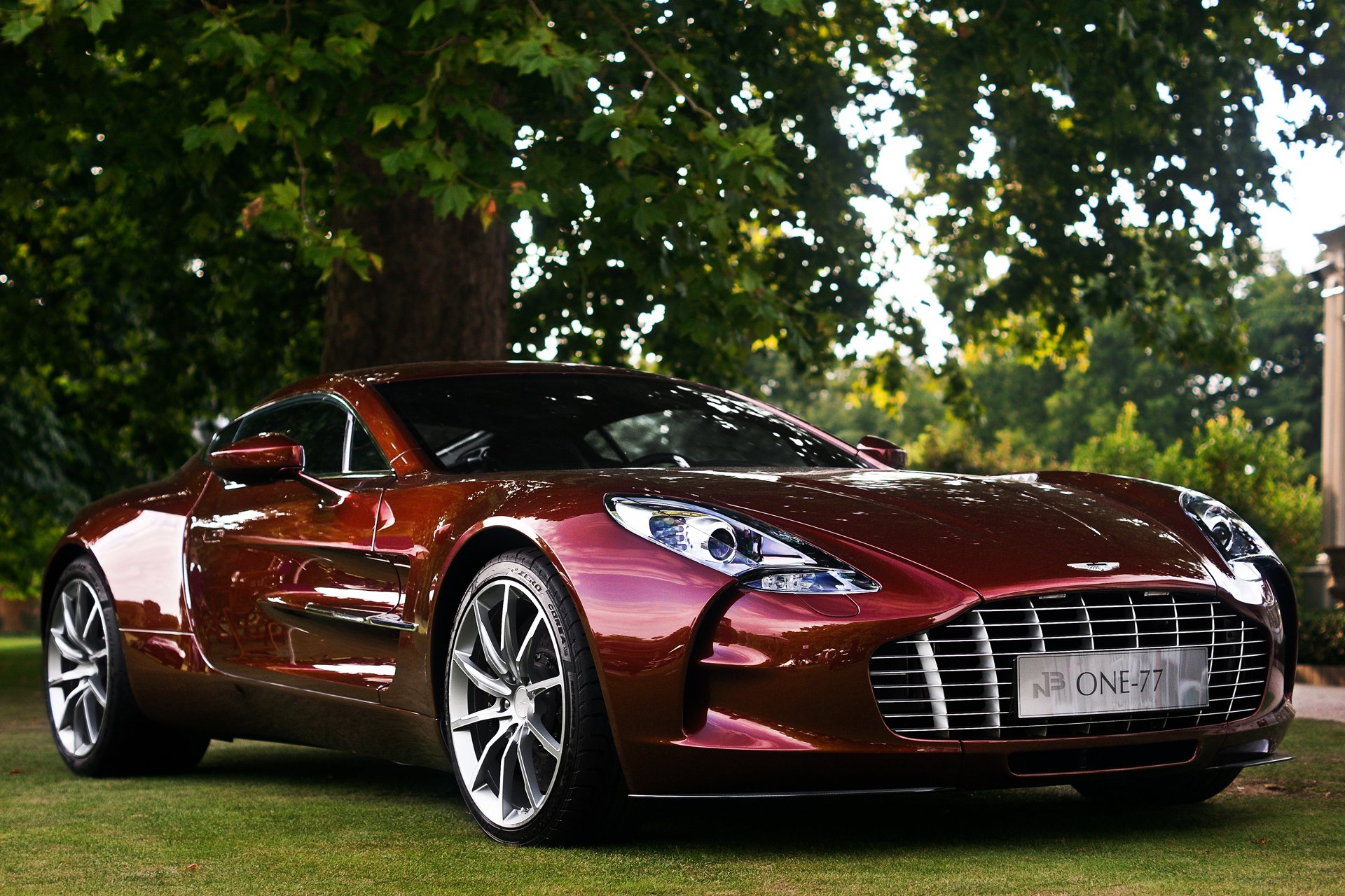 aston martin one-77 aston martin anglia dąb drzewo trawnik