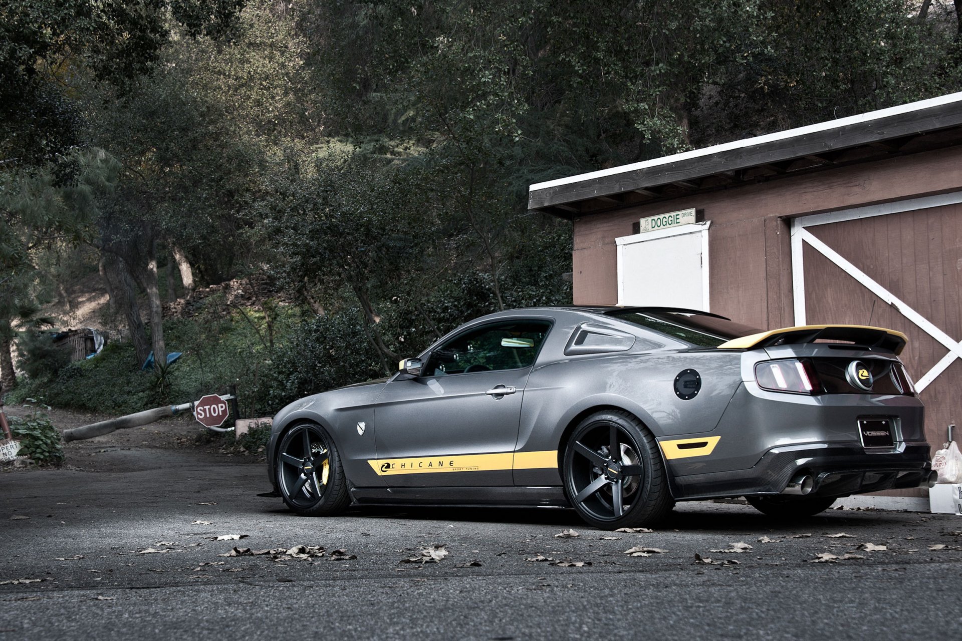 ford mustang gt argenté argent muscle car arrière panneau de signalisation arrêt arbres route forêt