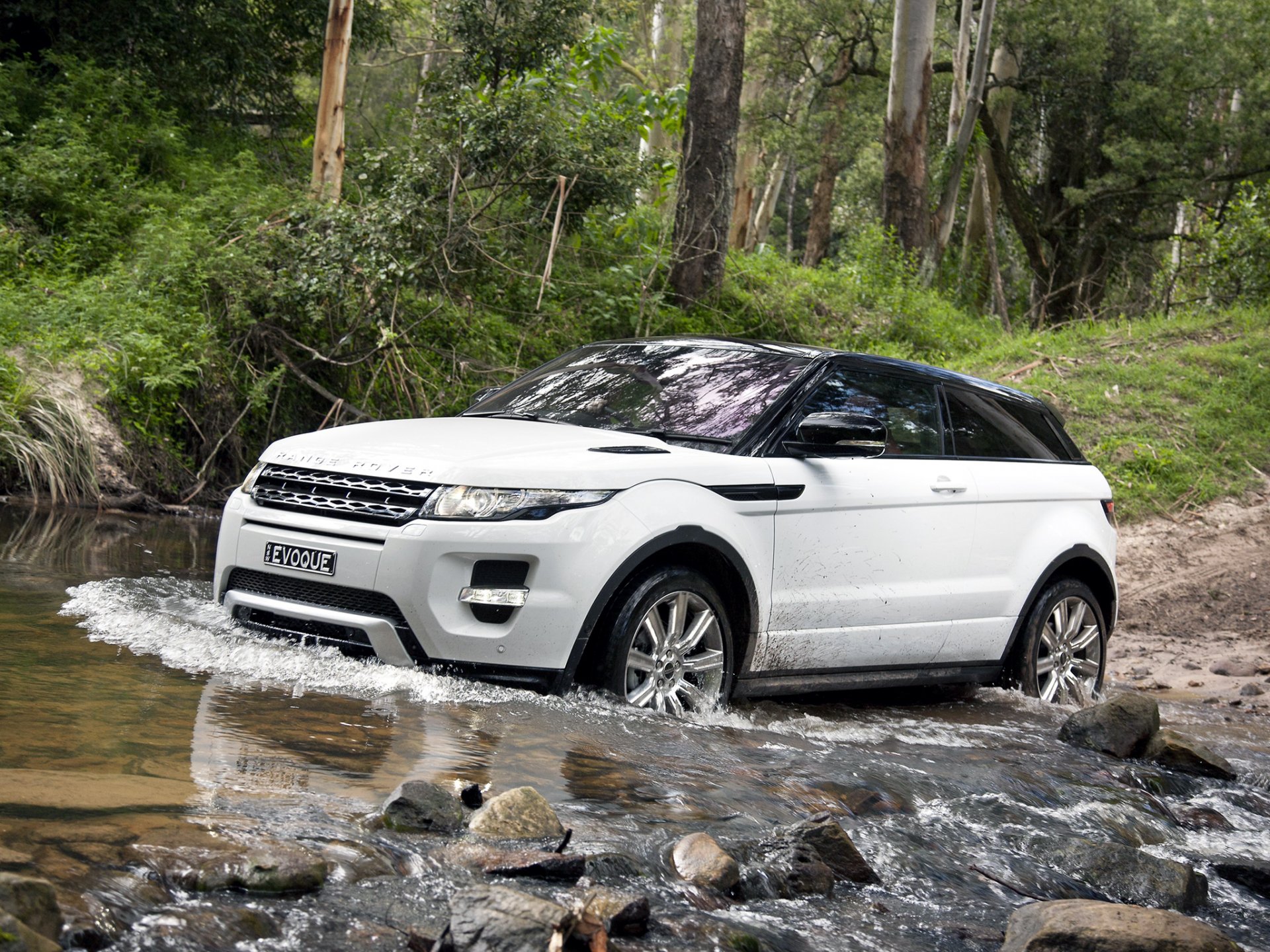 land rover range rover evoque coupe dinámico land rover range rover evoque altavoz crossover jeep blanco frente bosque árboles vado.agua piedras