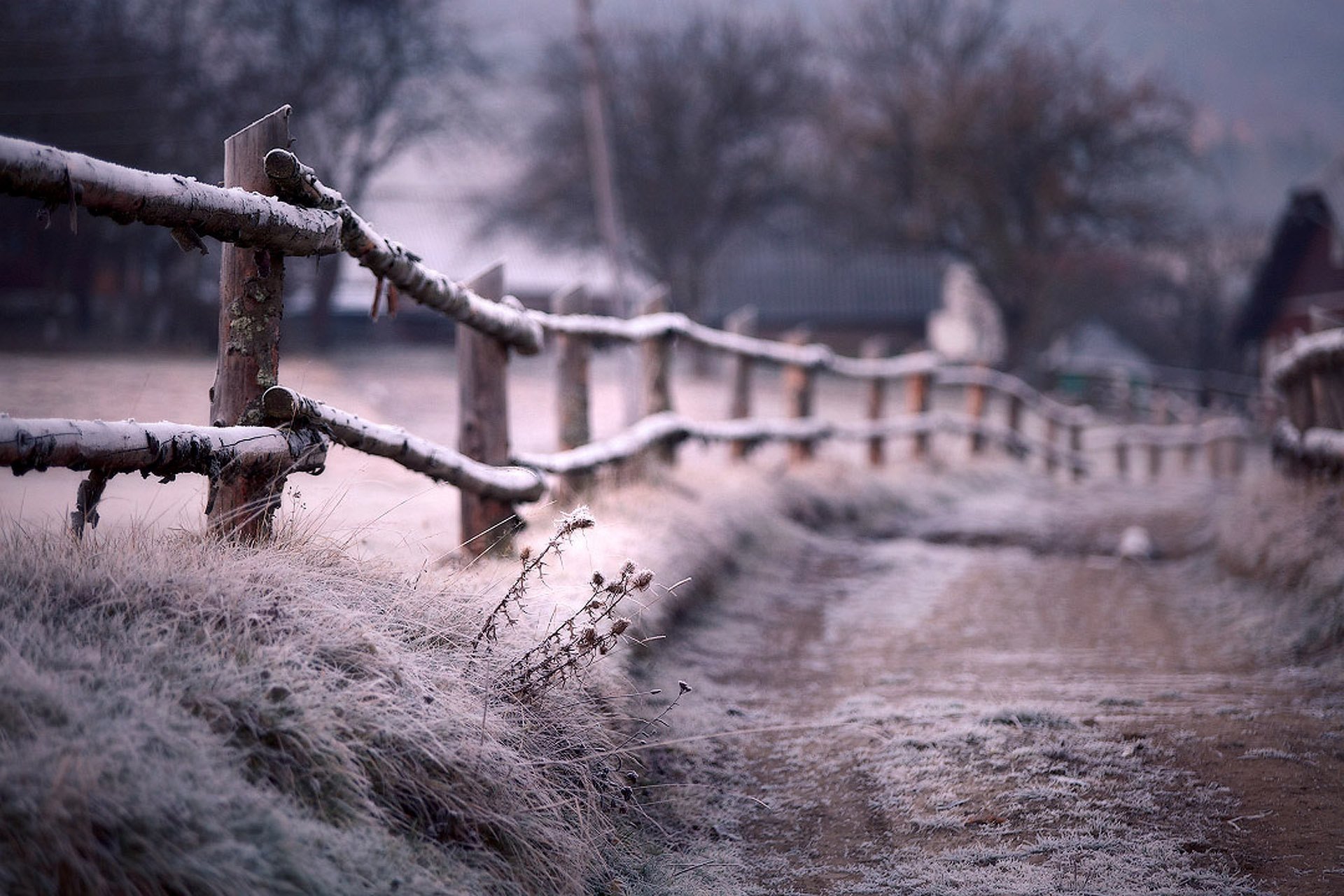 winter fence path the fence blur frost