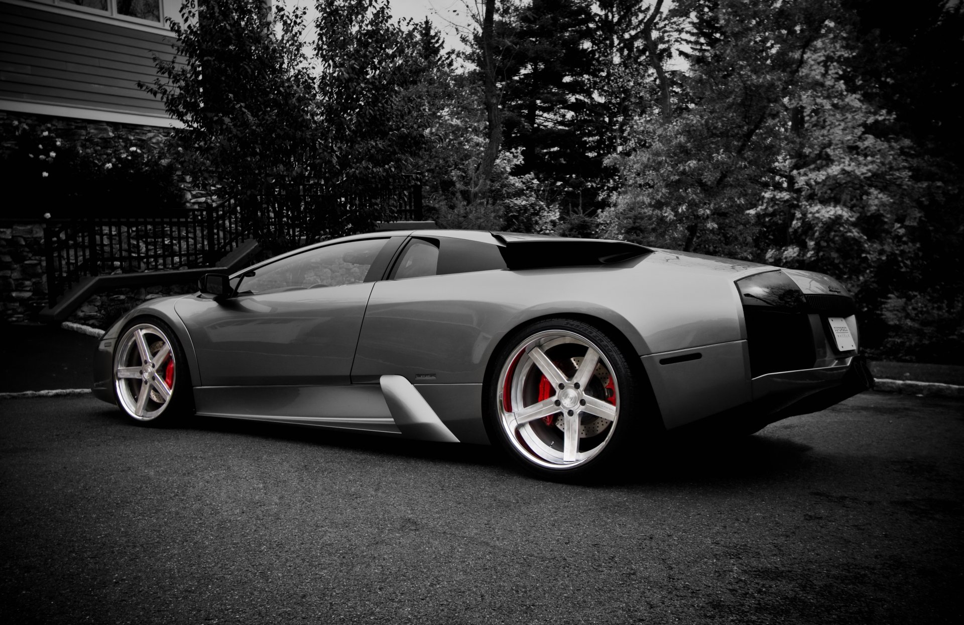 lamborghini coulée noir et blanc