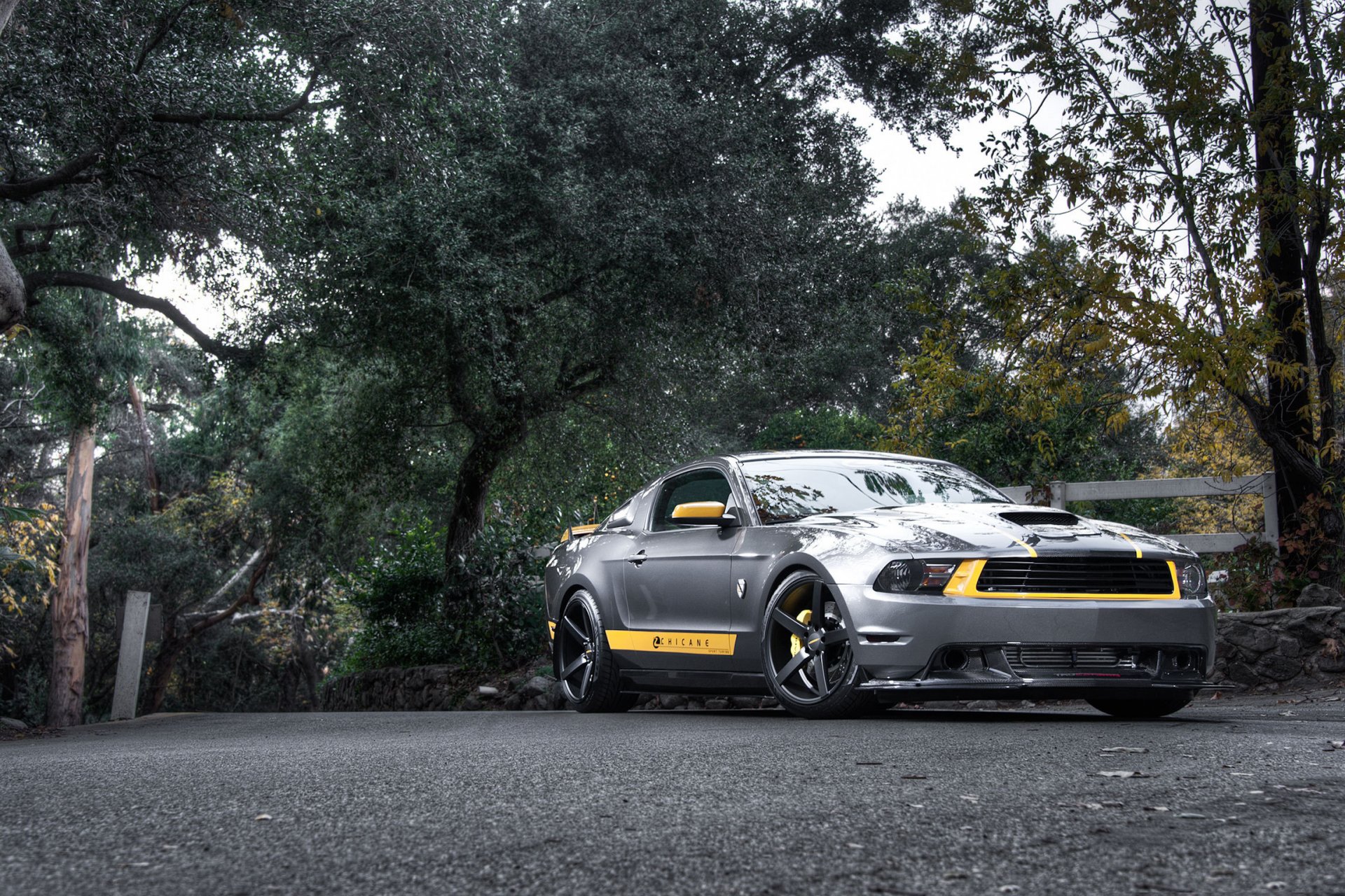 ford mustang gt plata plata muscle car frente árboles carretera cerca bosque