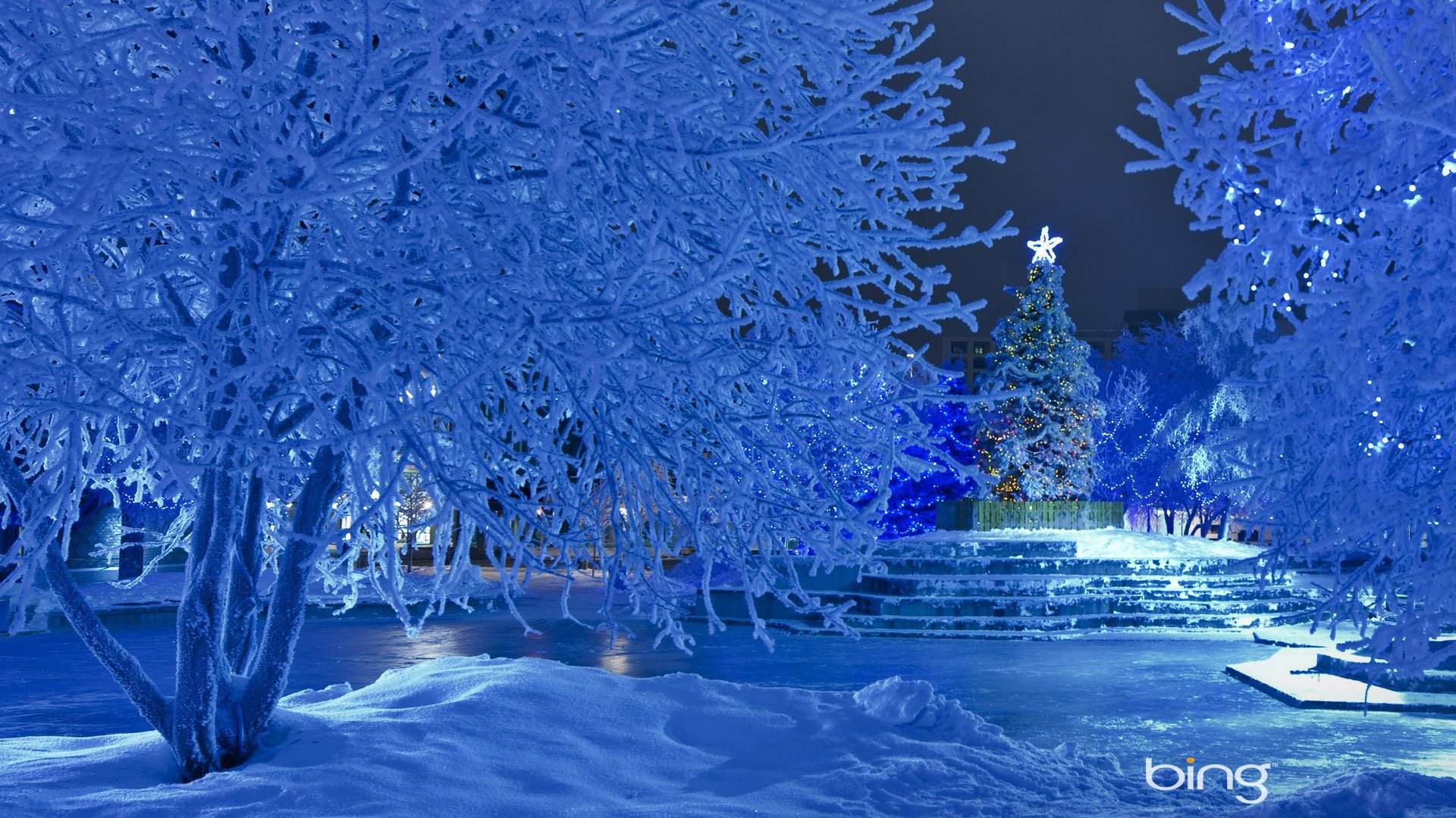 albero di natale capodanno neve