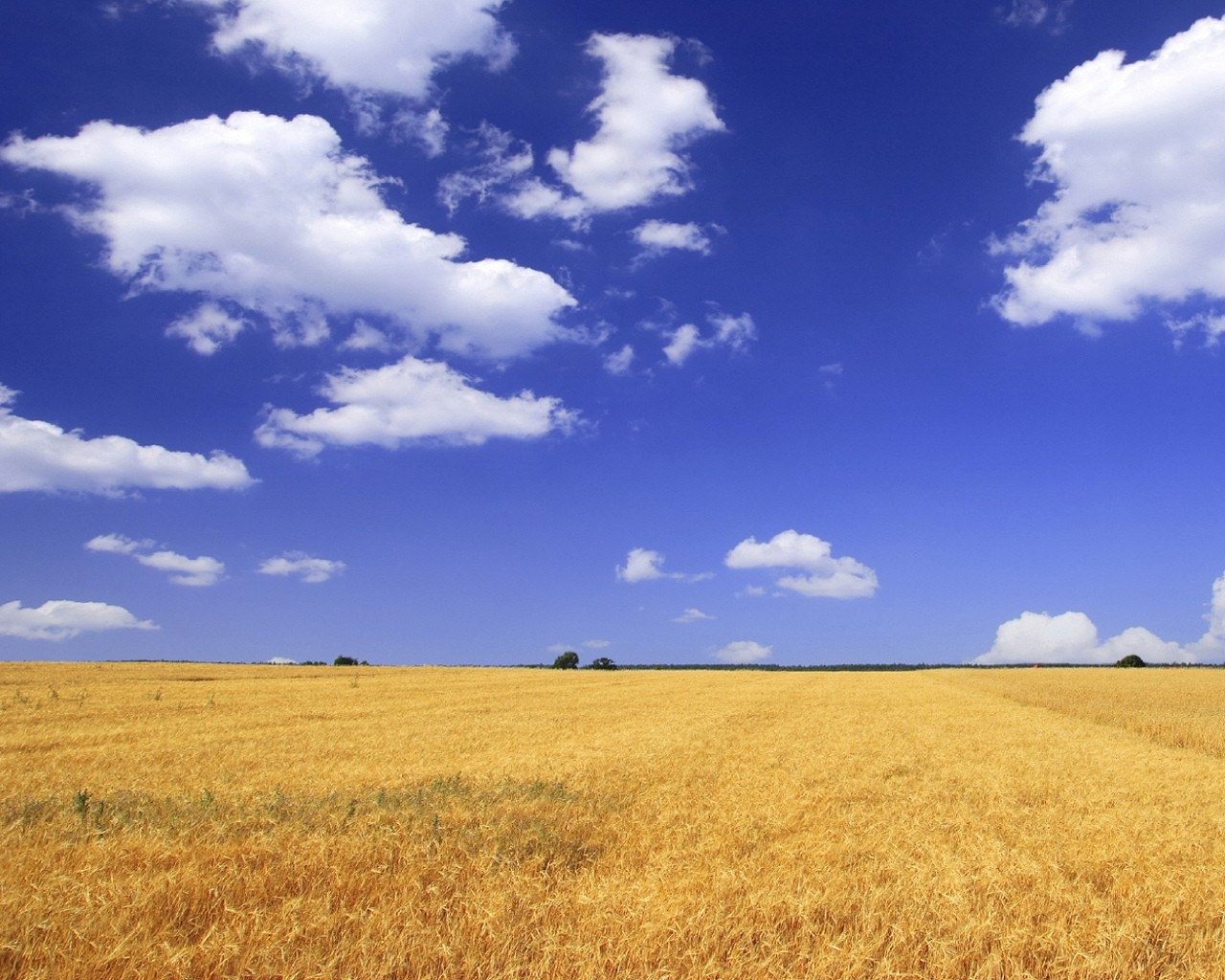 campo cielo nubes