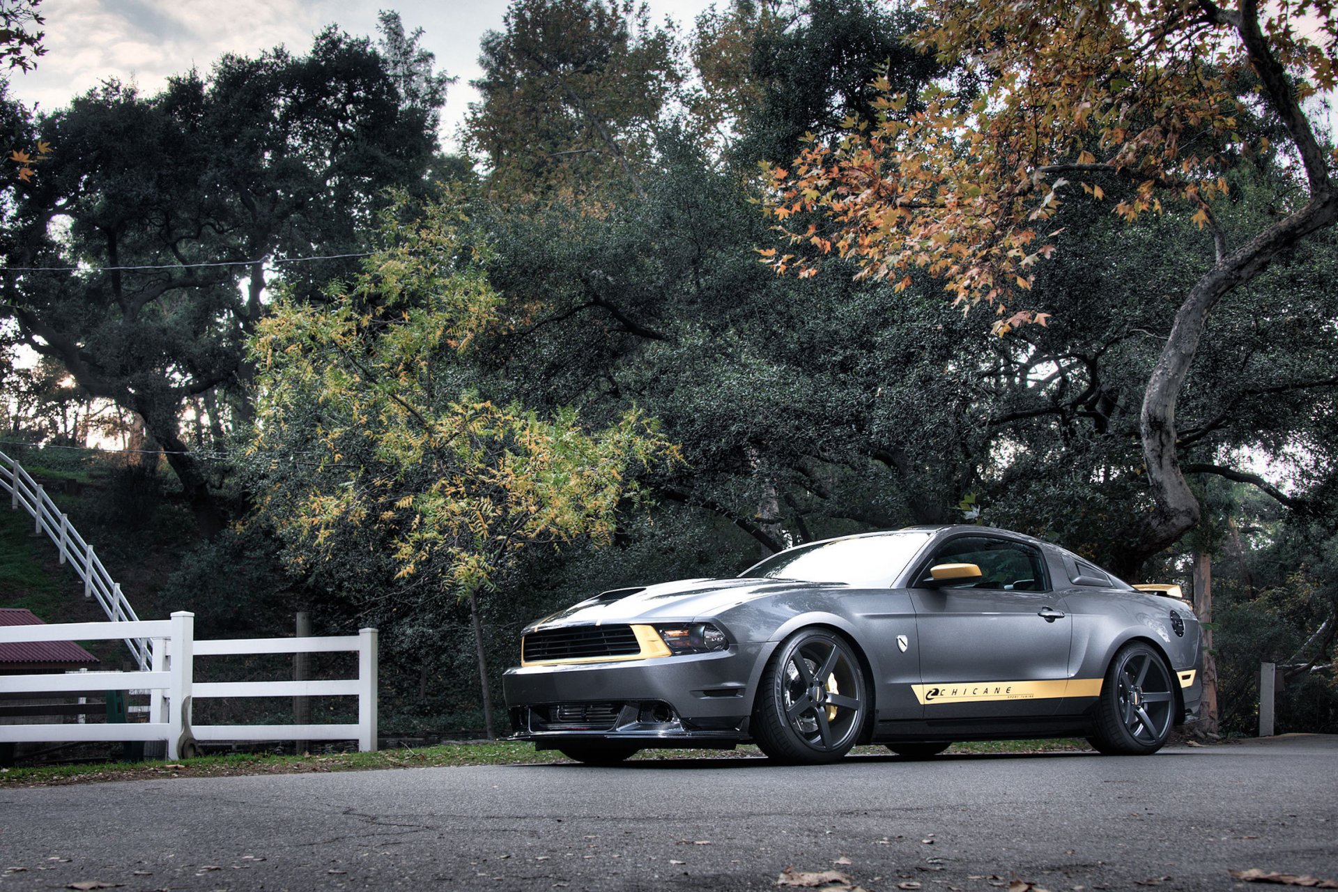 ford mustang gt plata plata muscle car frente árboles carretera cerca bosque