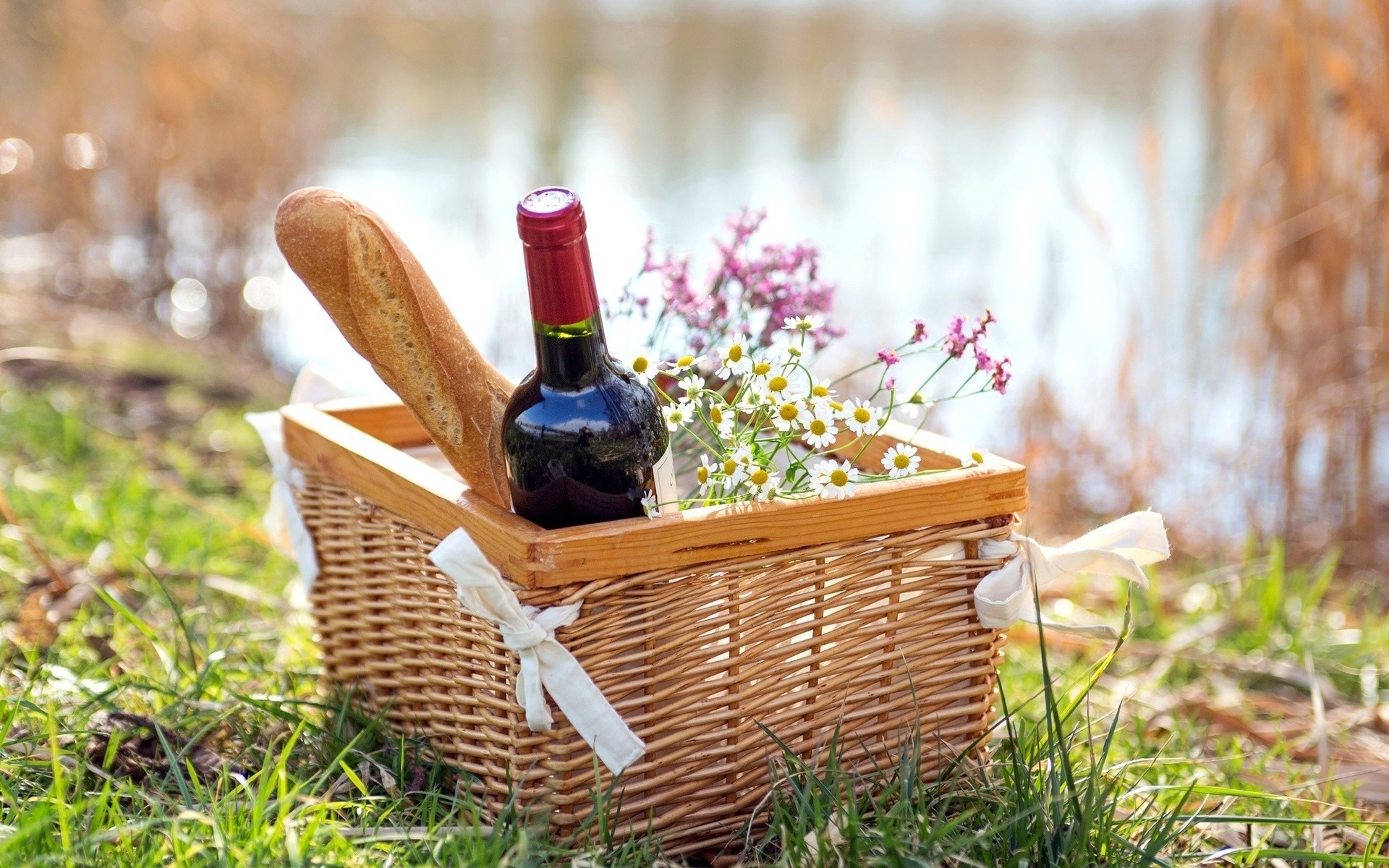 gänseblümchen picknick rot wein einkaufen flasche baguette