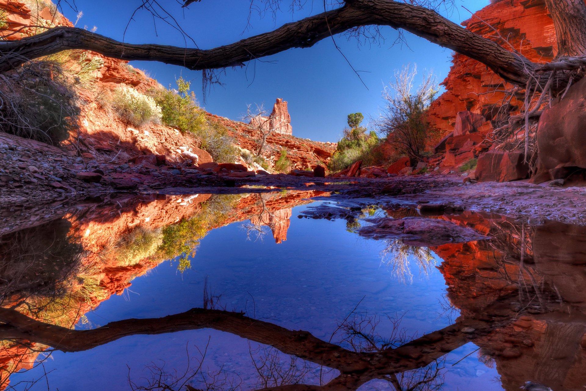 lago albero acqua natura canyon