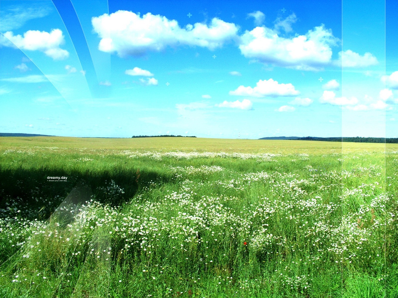 feld himmel grün