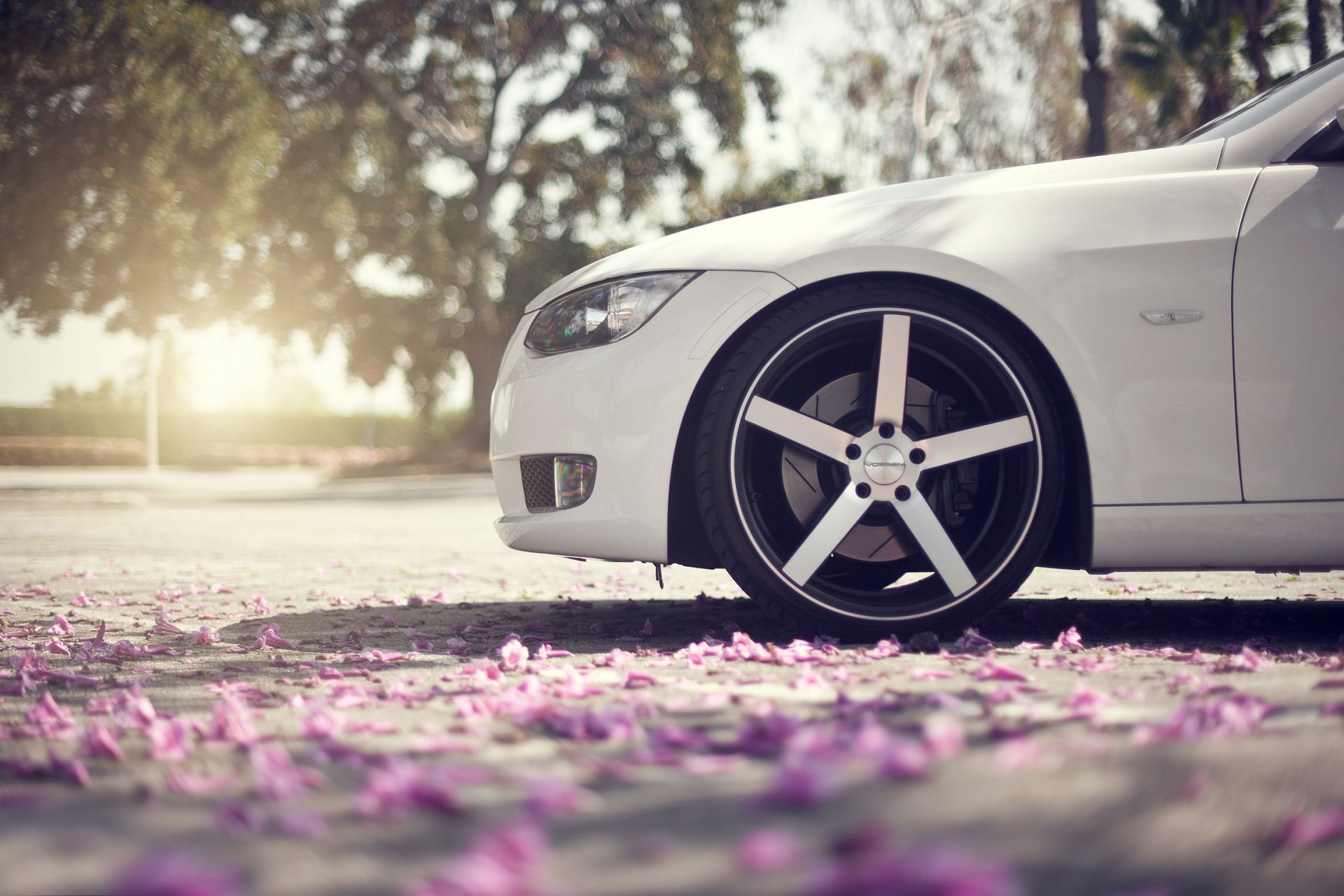 bmw 3series white front bow wheel drives close up asphalt petals spring reflections bokeh