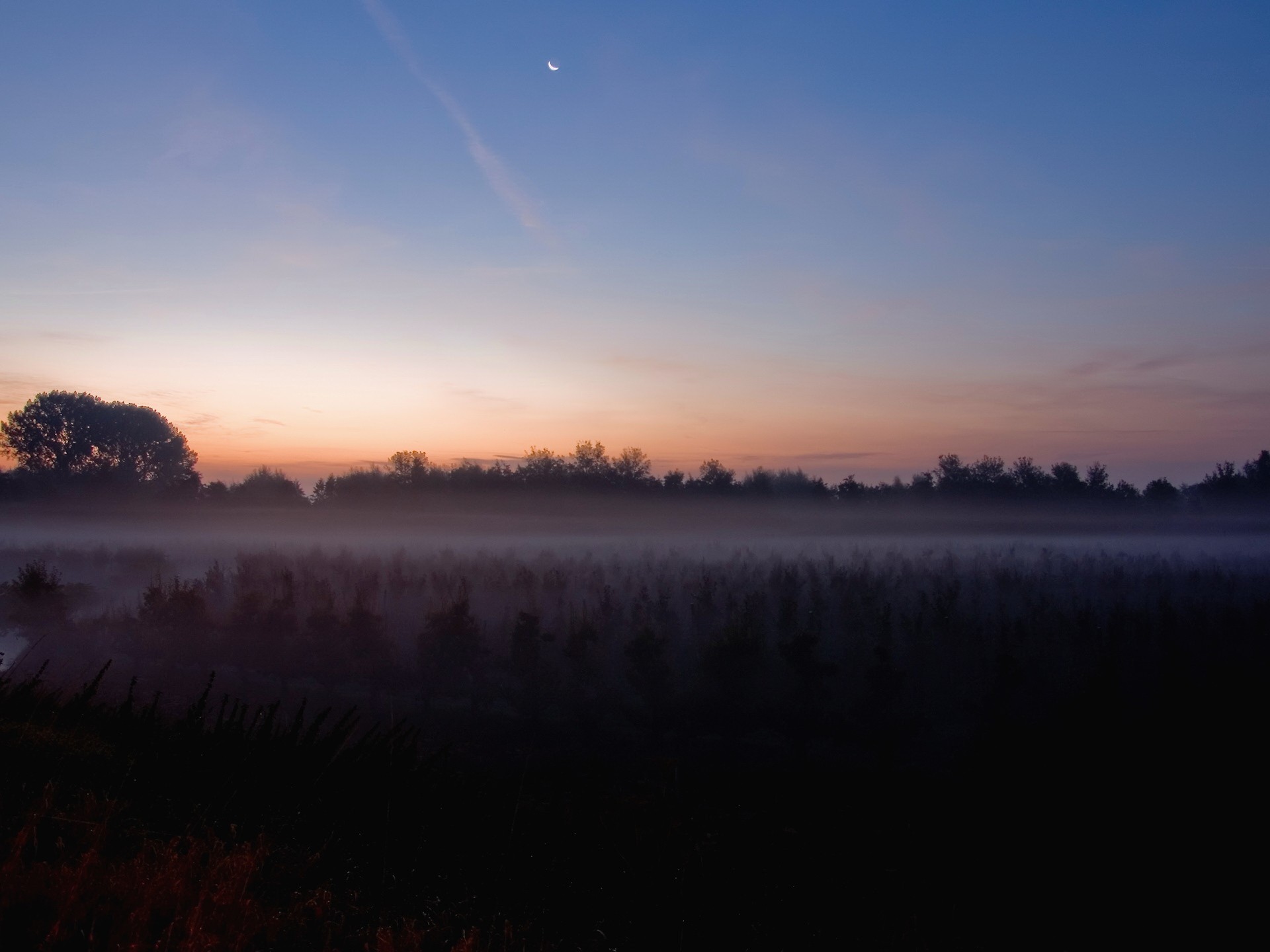 campo luna nebbia