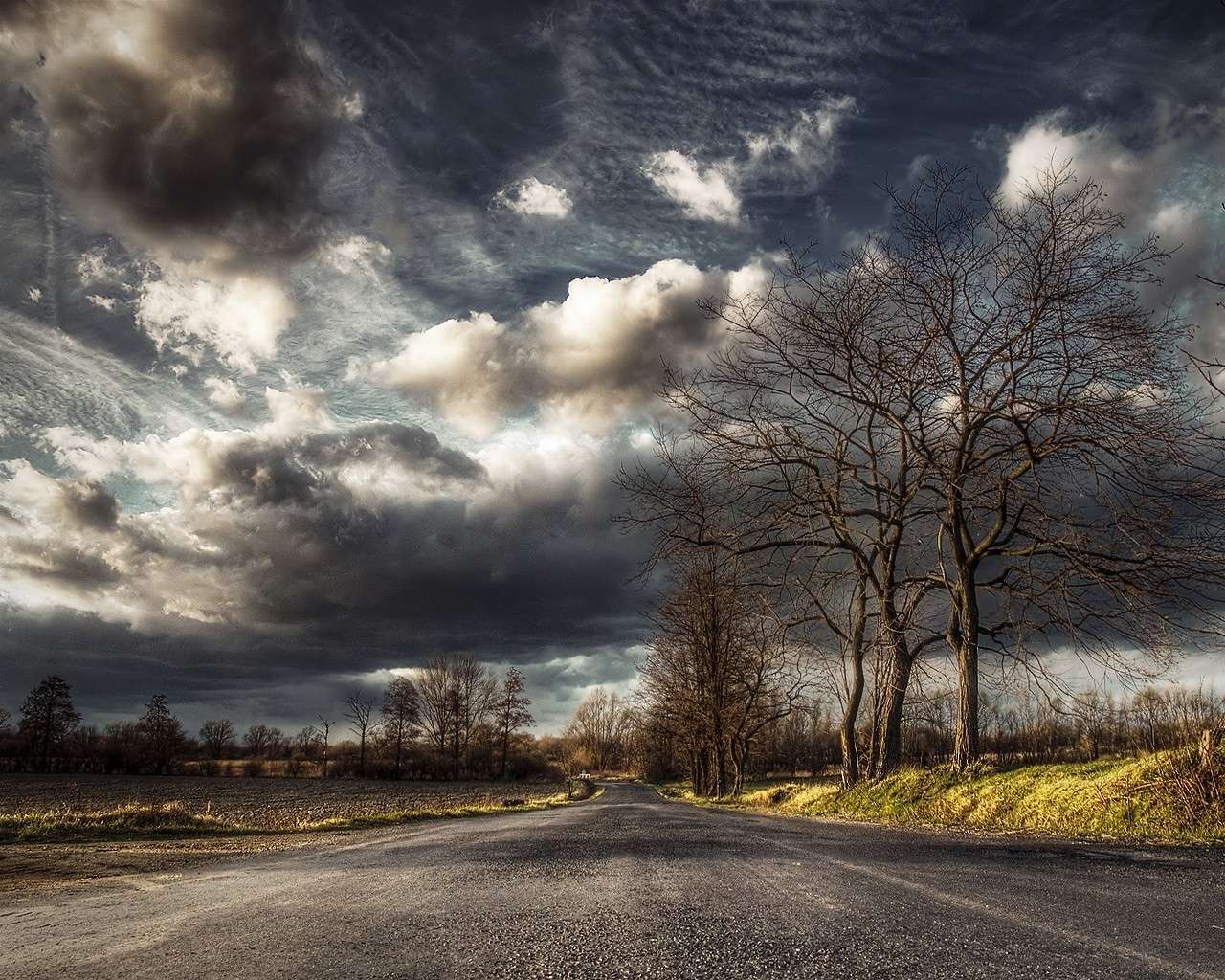 cielo camino paisaje