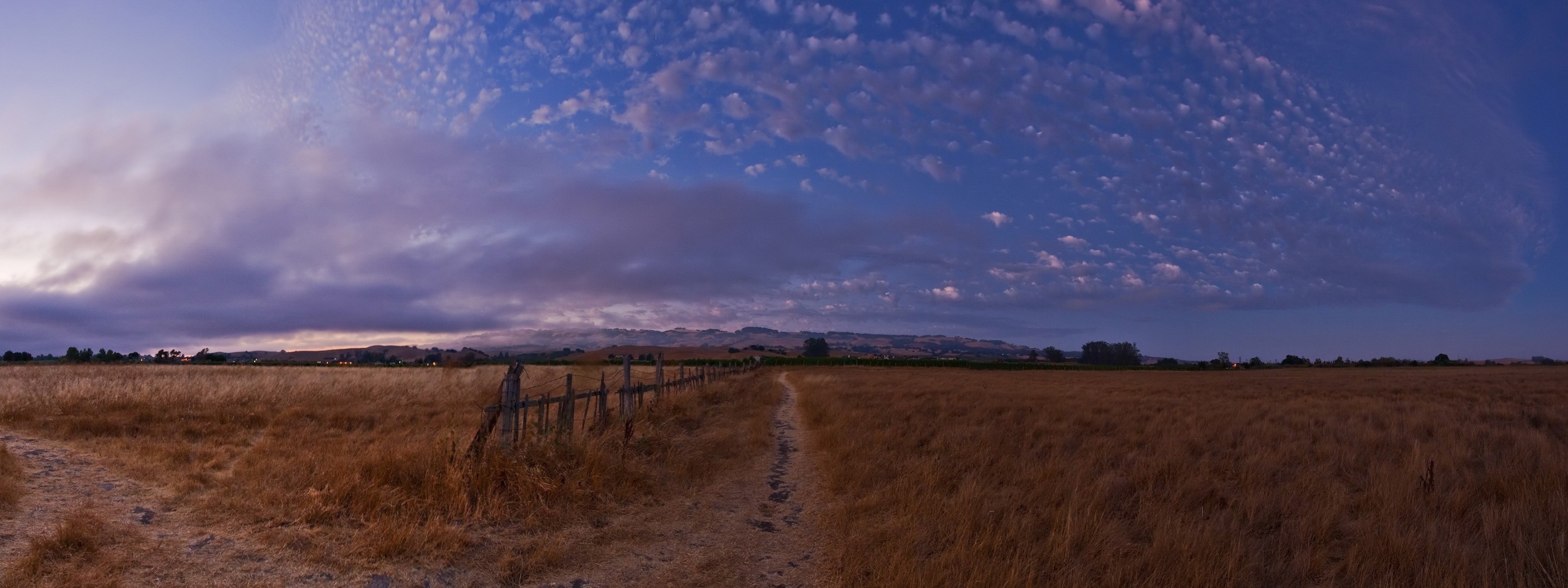 the field sky night