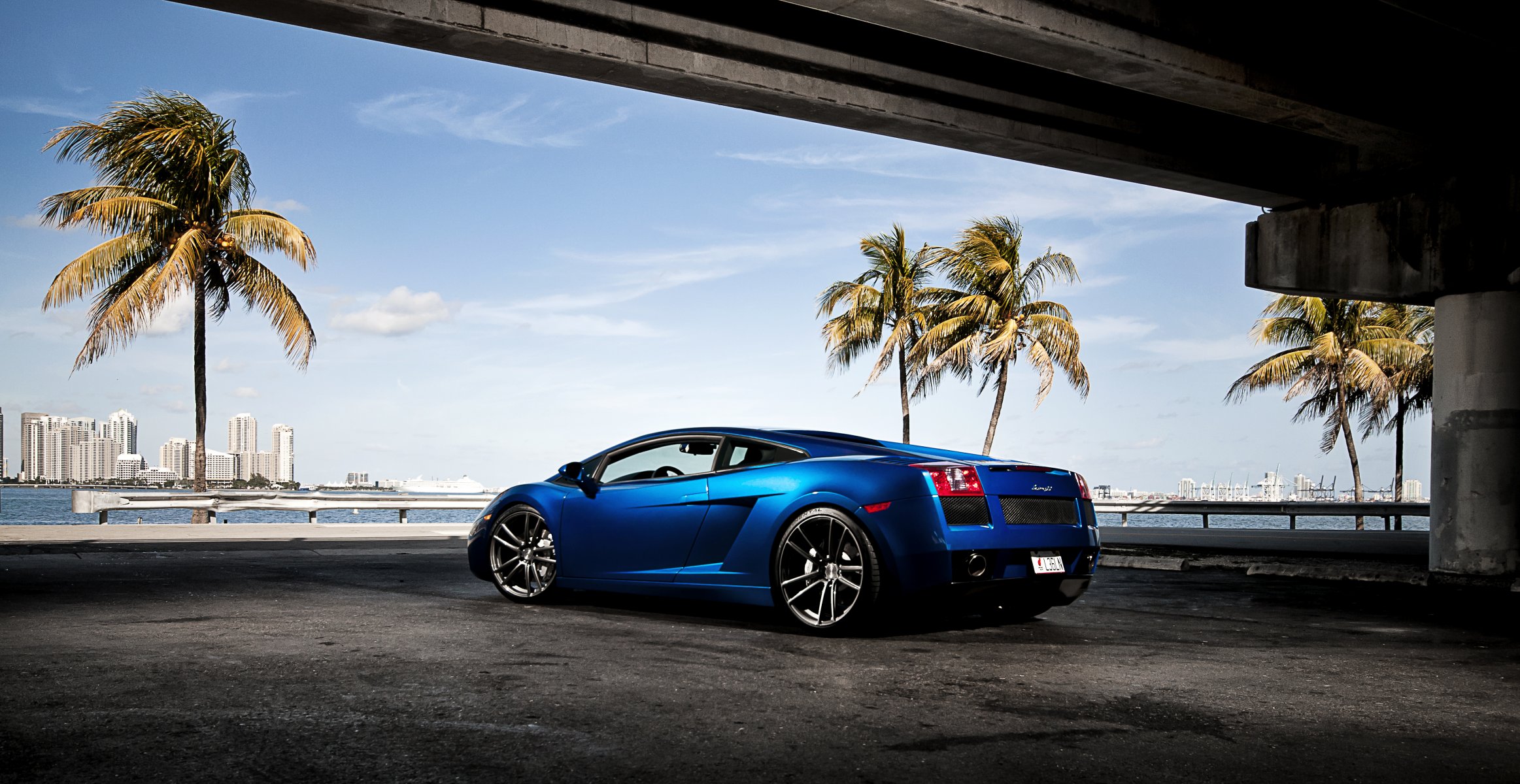 lamborghini gallardo azul lamborghini lamborghini gallardo parte trasera cielo palmeras