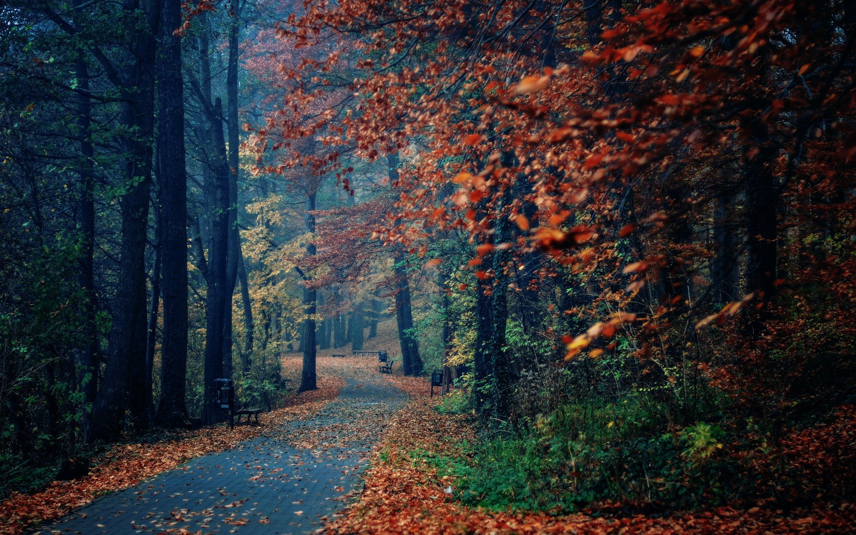 park bänke natur bäume herbst