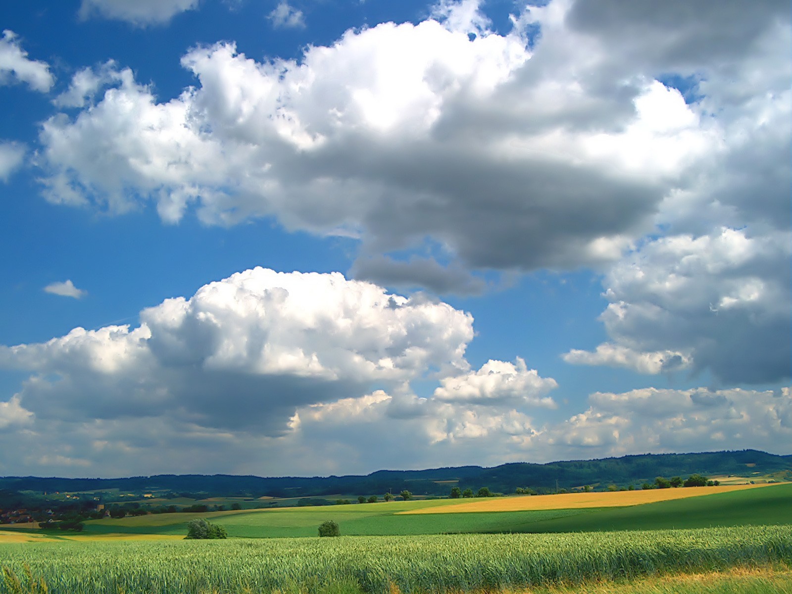 wolken feld grün