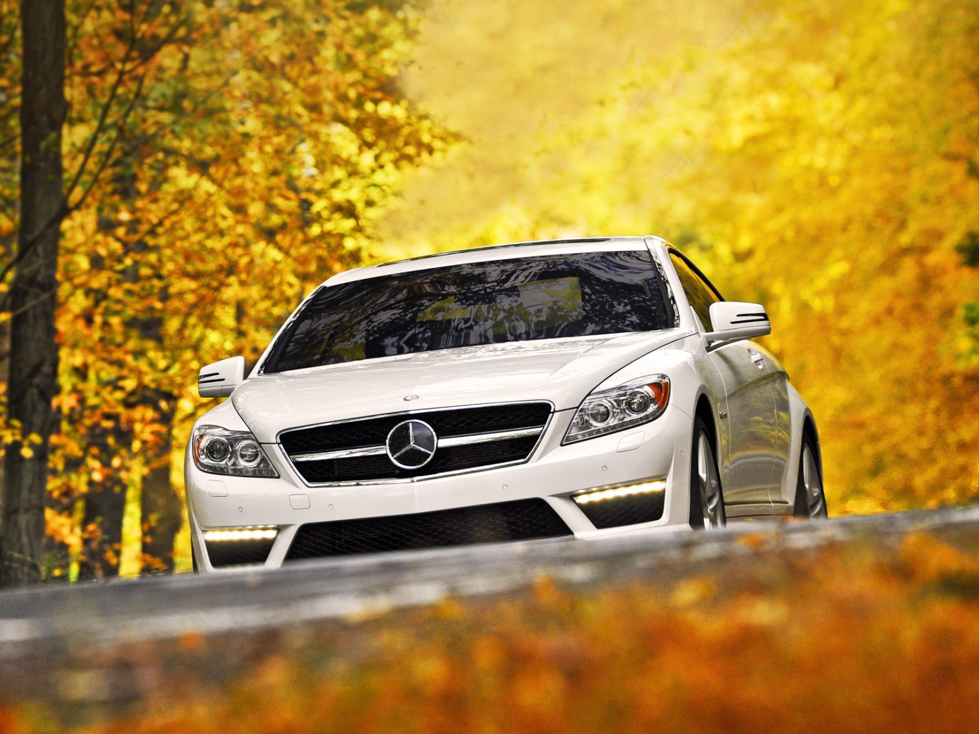 mercedes-benz cl63 amg mercedes cl63 amg white supercar front autumn trees leave