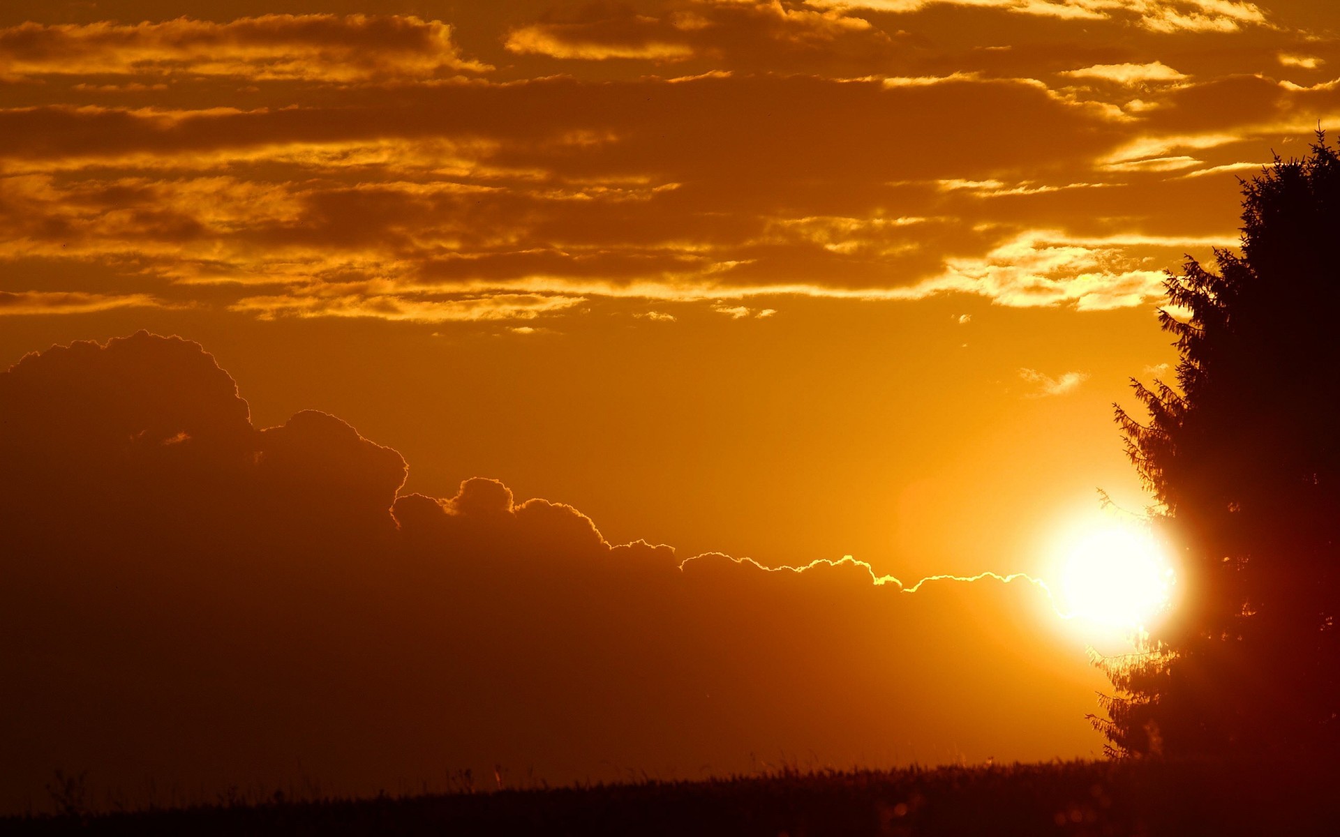 puesta de sol árboles nubes cielo