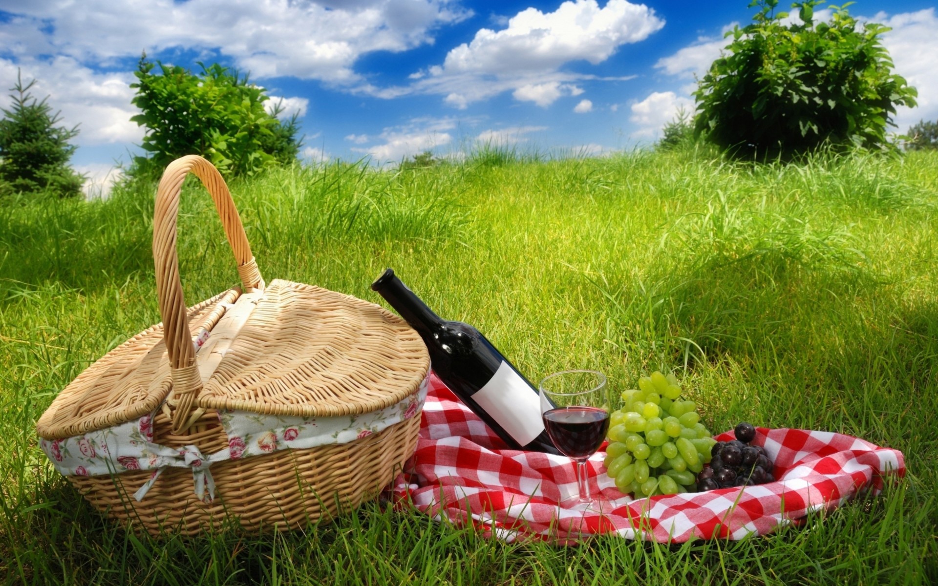 uvas vino ir de compras picnic naturaleza