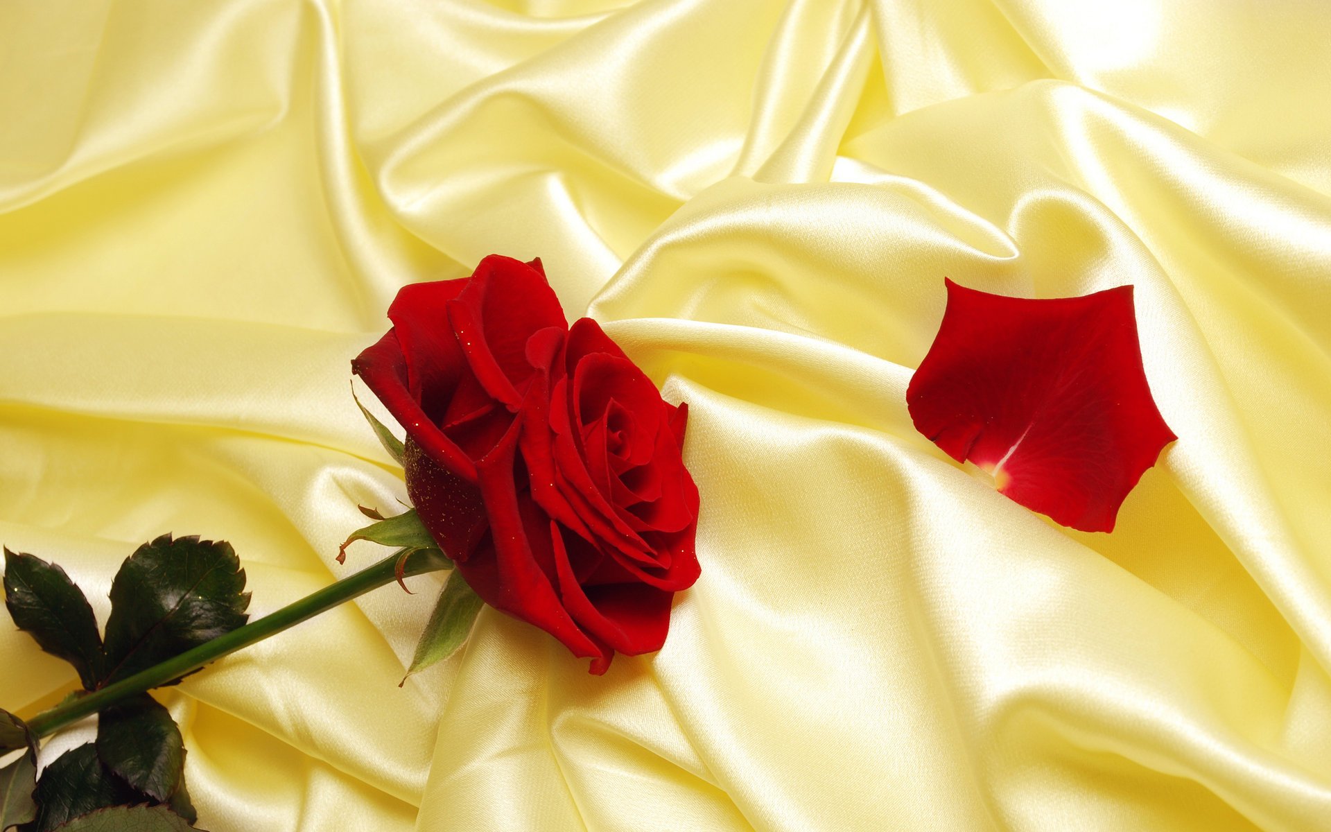 petal silk fabric rose satin