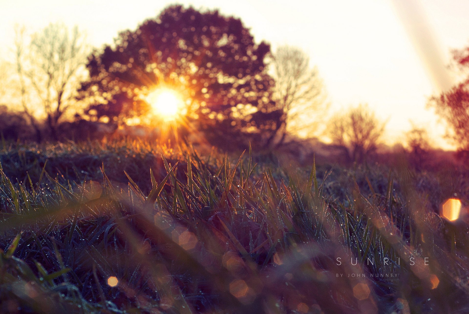 kapi frühling gras natur morgen