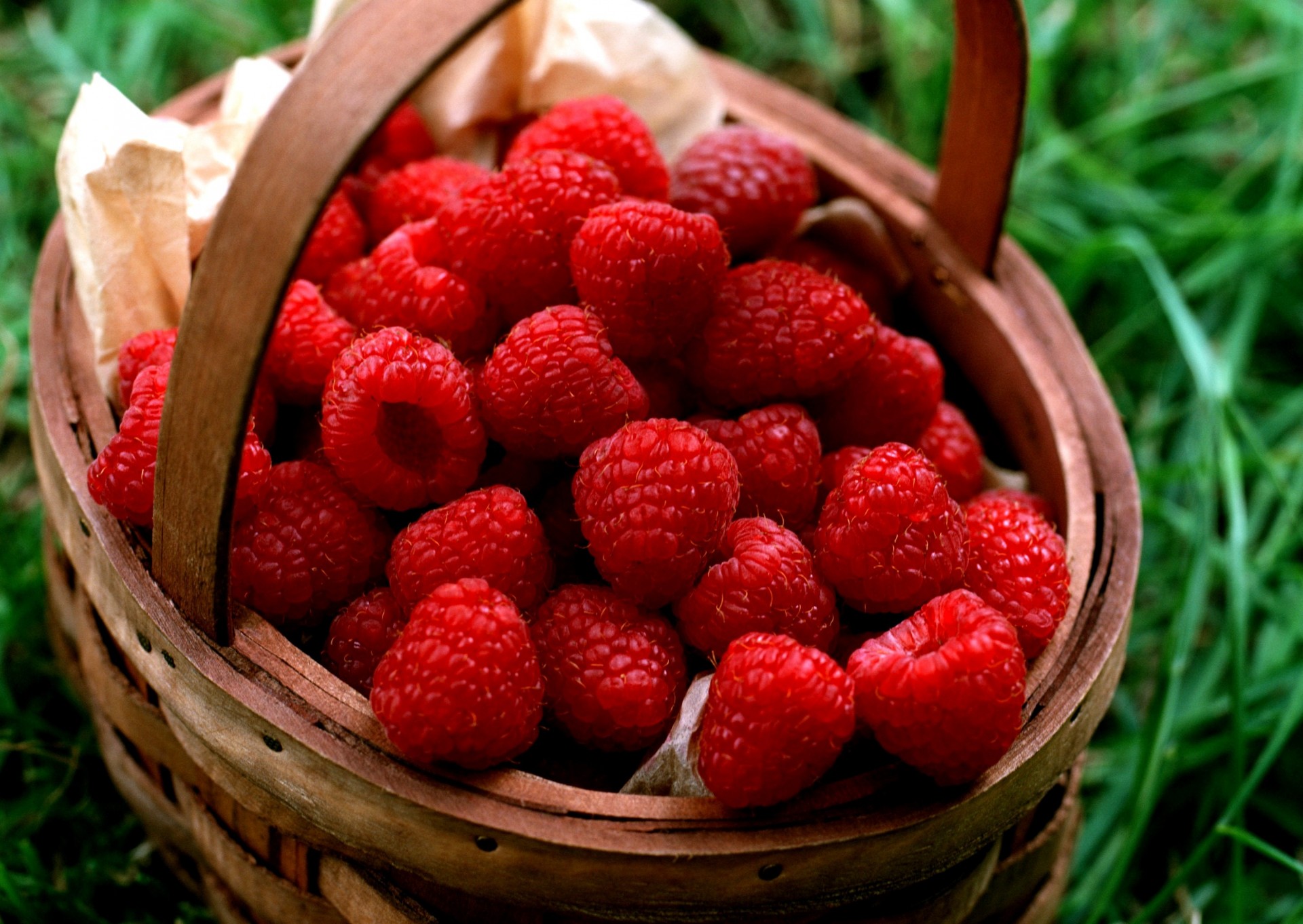 basket raspberry berry