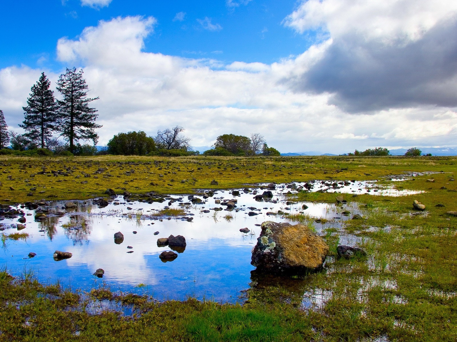 niebo jeziora natura trawa