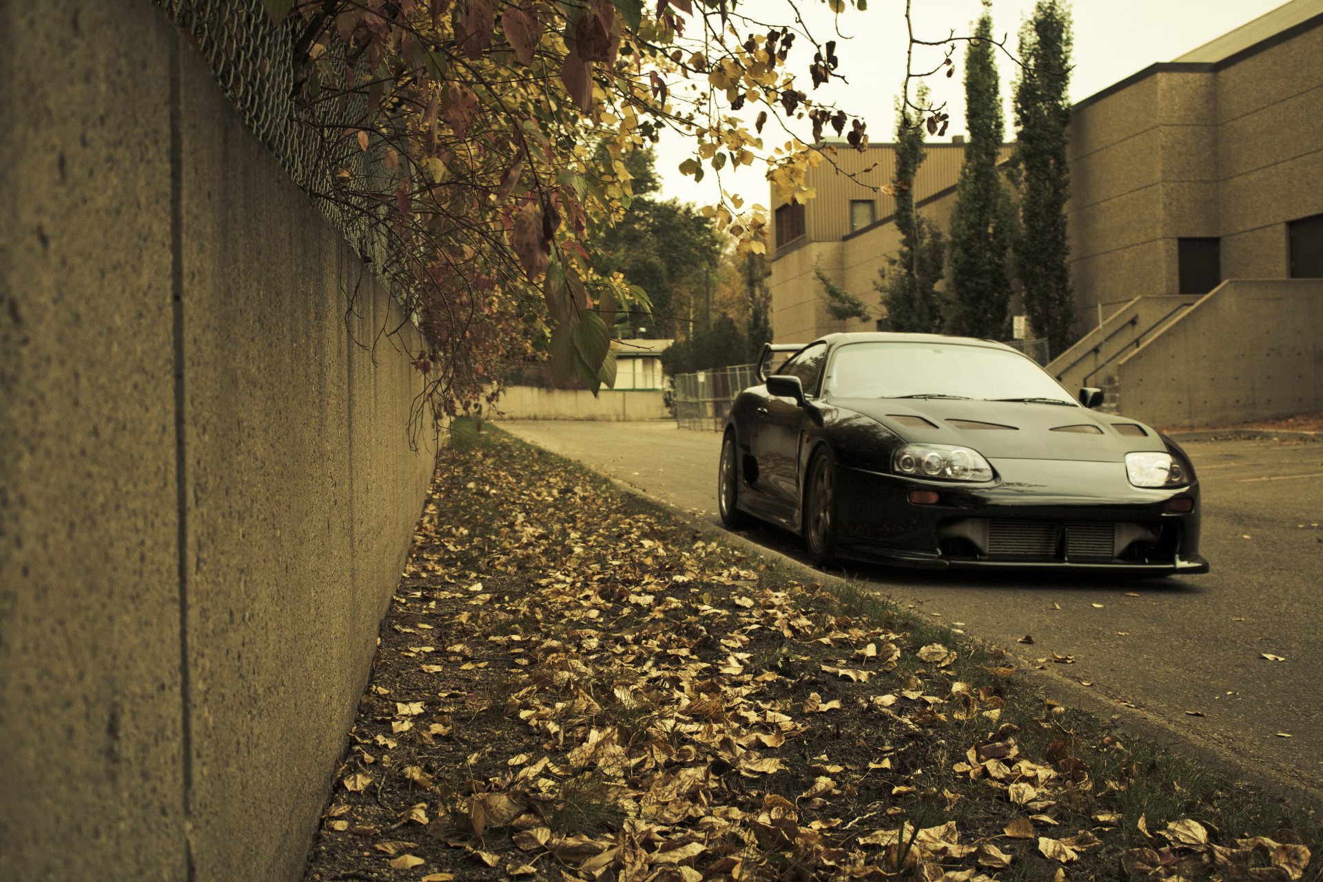 auto cars toyota supra wallpaper auto city toyota wall lawn grass leaves autumn