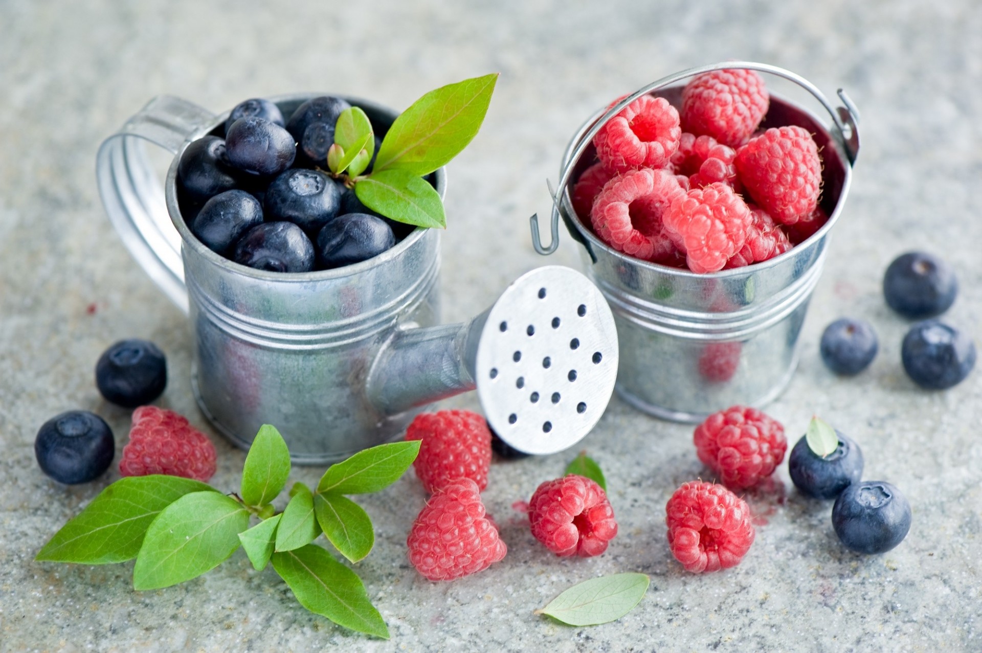 heidelbeeren gießkanne beeren himbeeren eimer