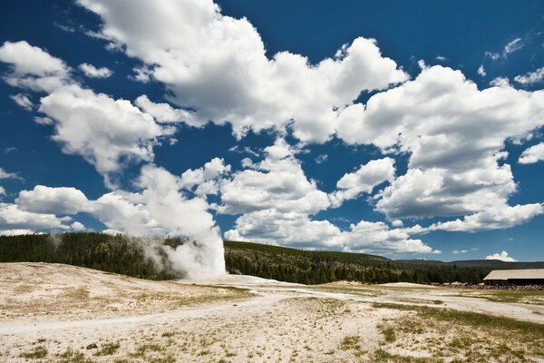 A geyser releasing water against the background of a forest